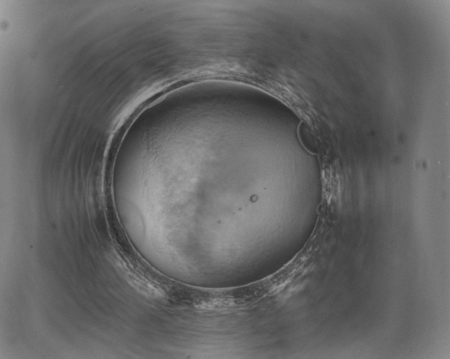 X0000064040196200601301157