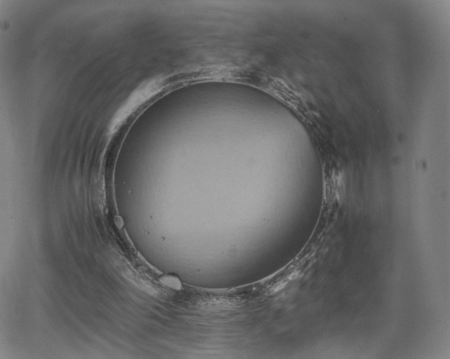 X0000064040198200601301157