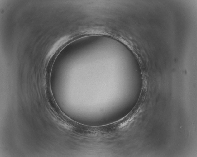 X0000064040199200601301157