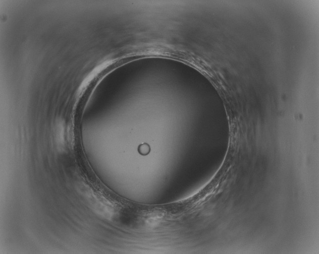 X0000064040200200601301157