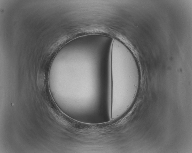 X0000064040201200601301157