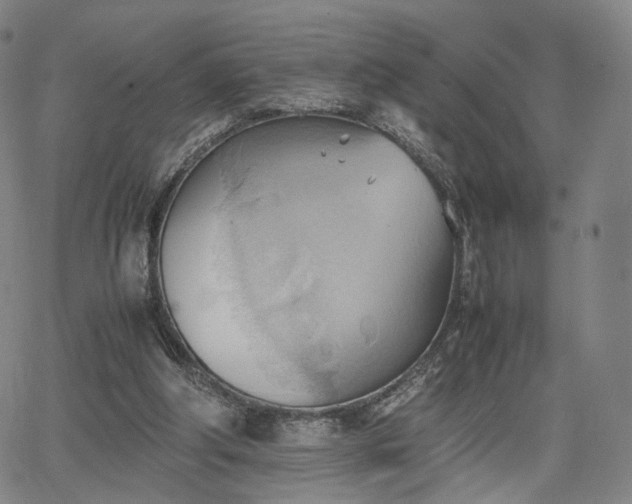 X0000064040202200601301157