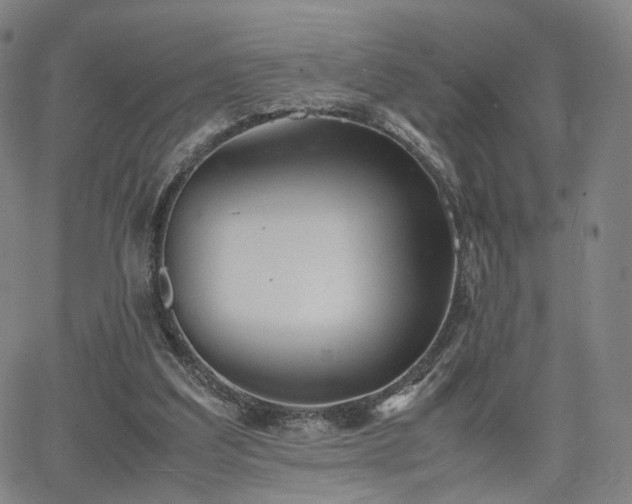 X0000064040203200601301157