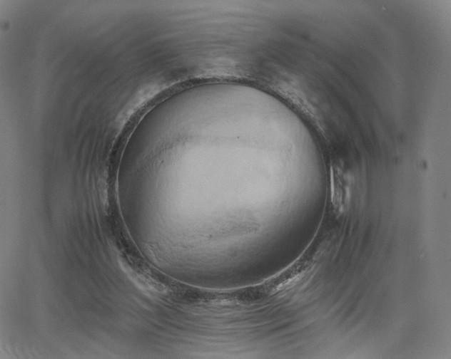 X0000064040204200601301157