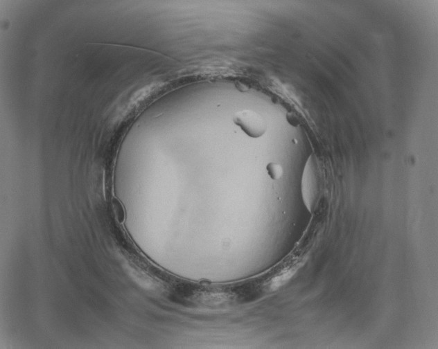 X0000064040205200601301157