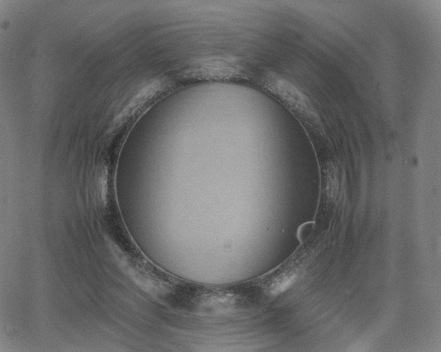 X0000064040206200601301157