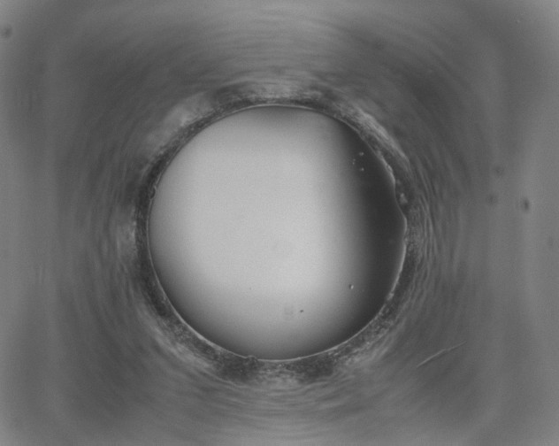 X0000064040207200601301157