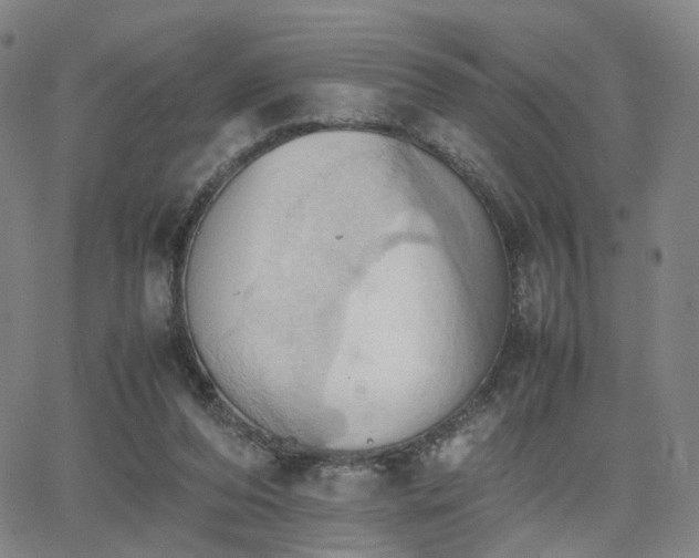 X0000064040208200601301157