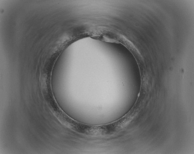 X0000064040209200601301157