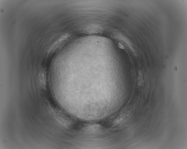 X0000064040210200601301157