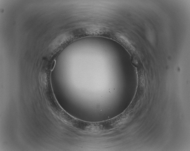 X0000064040211200601301157