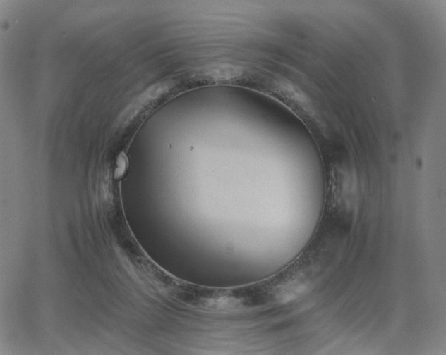 X0000064040212200601301157