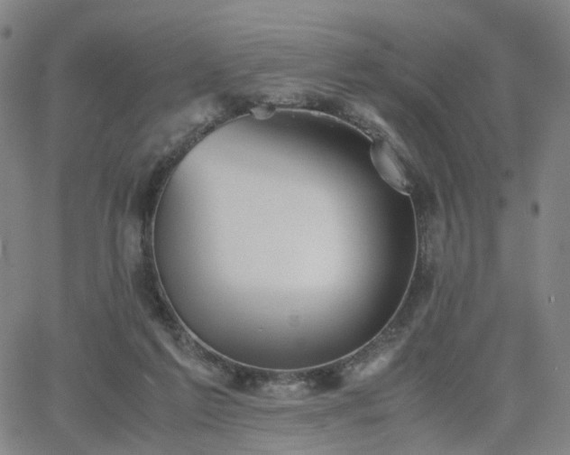 X0000064040213200601301157