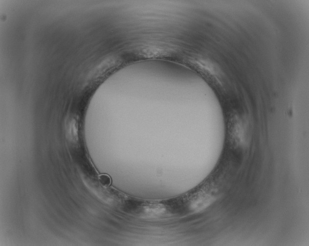 X0000064040214200601301157