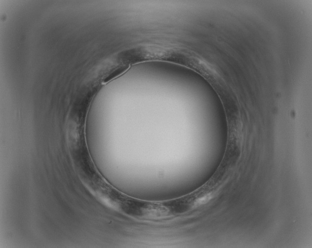 X0000064040215200601301157