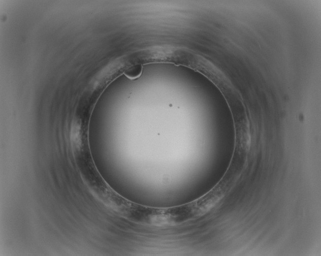 X0000064040216200601301157