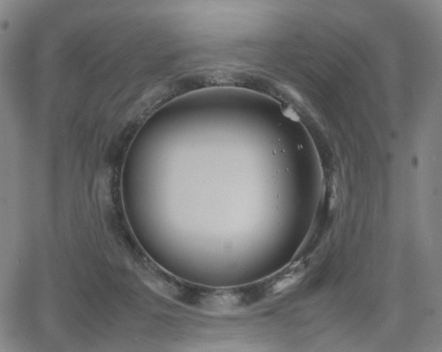 X0000064040217200601301157