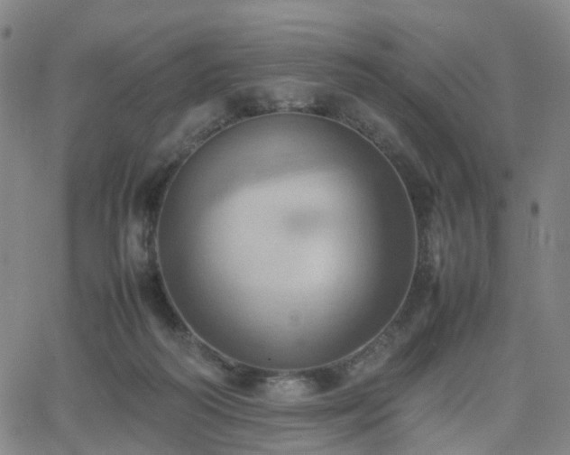 X0000064040218200601301157