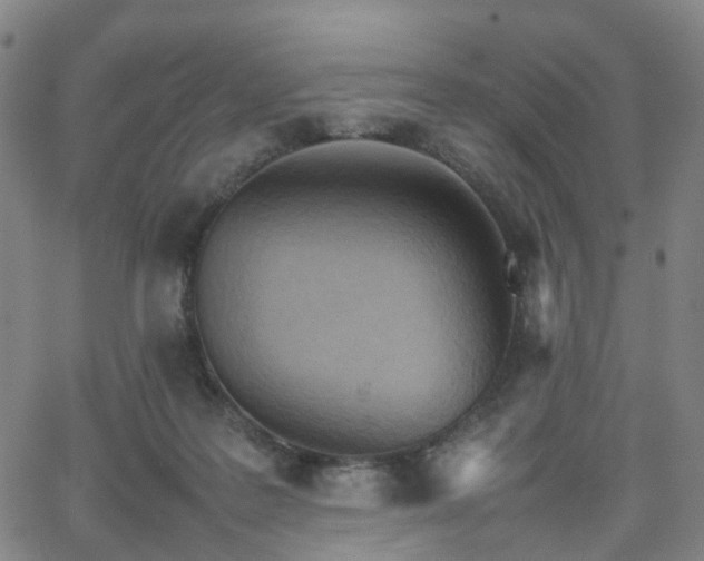 X0000064040219200601301157