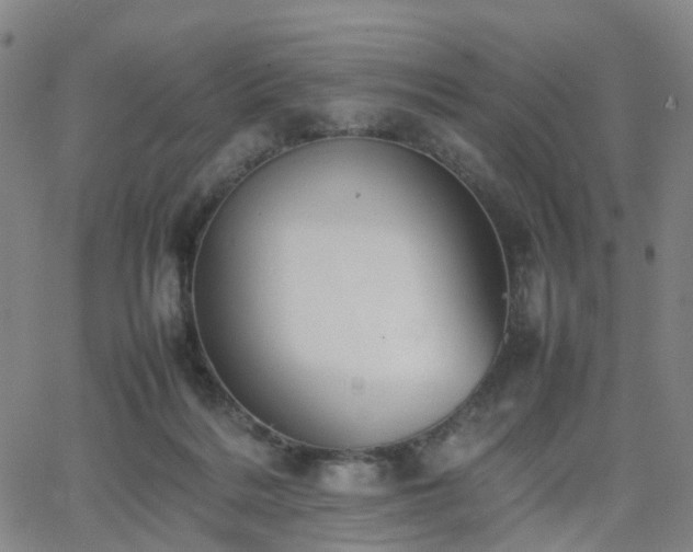 X0000064040220200601301157