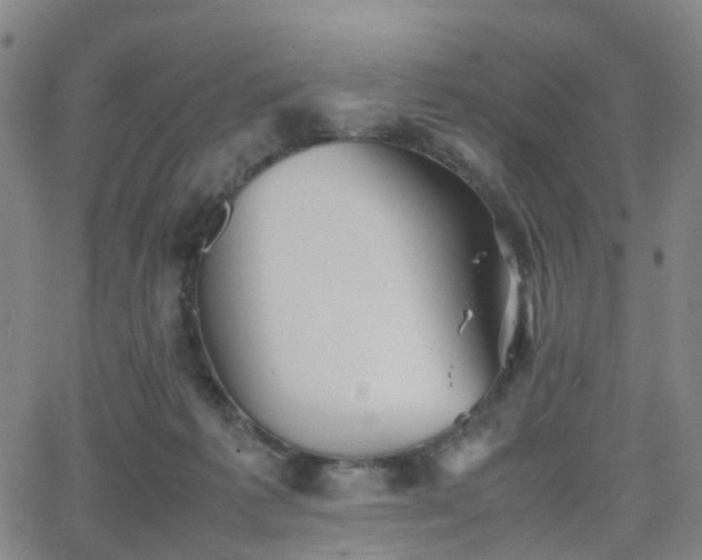 X0000064040221200601301156