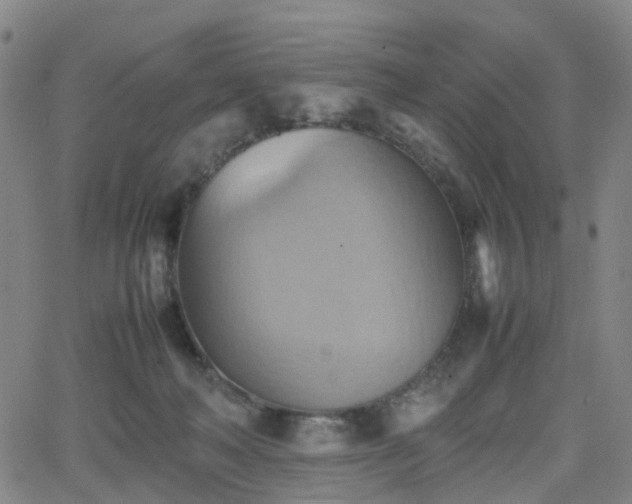 X0000064040222200601301156