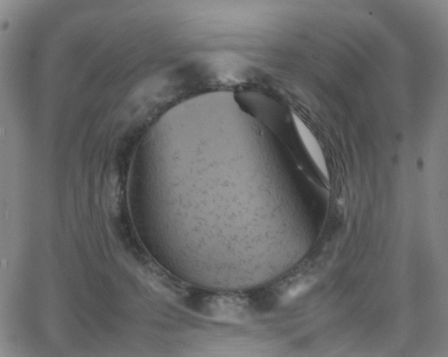 X0000064040223200601301156