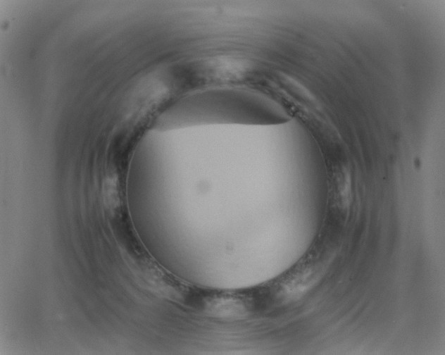 X0000064040224200601301156