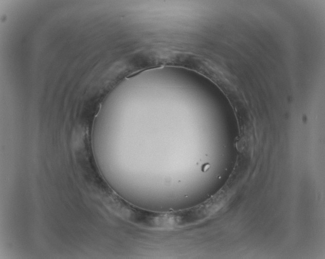 X0000064040225200601301156