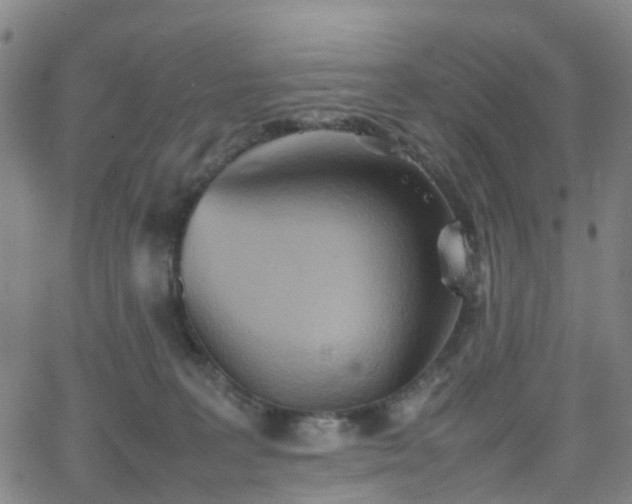 X0000064040227200601301156