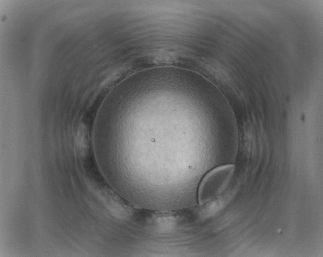 X0000064040228200601301156