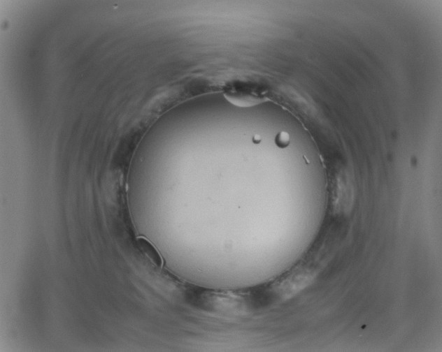 X0000064040229200601301156