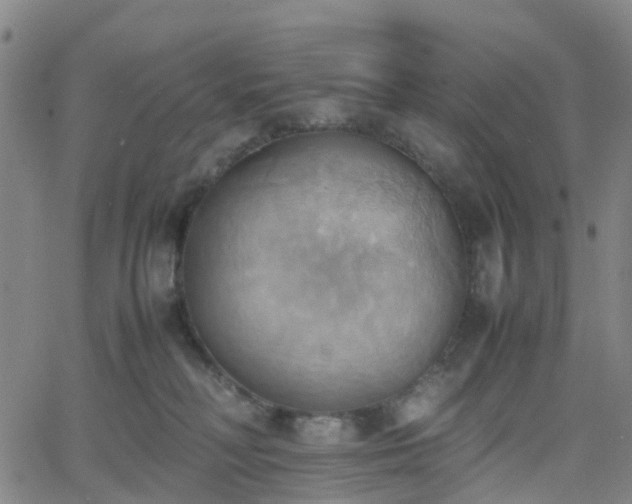 X0000064040230200601301156