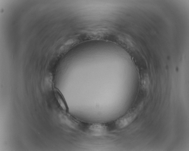 X0000064040231200601301156