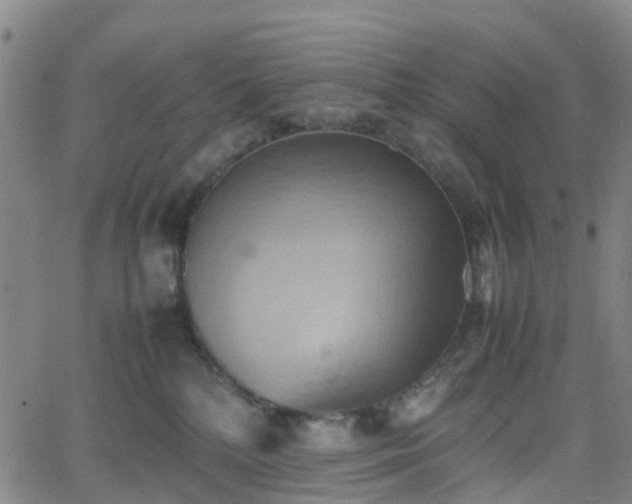 X0000064040232200601301156