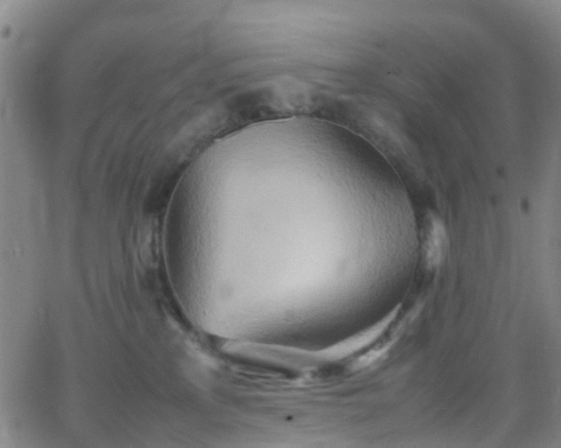 X0000064040233200601301156