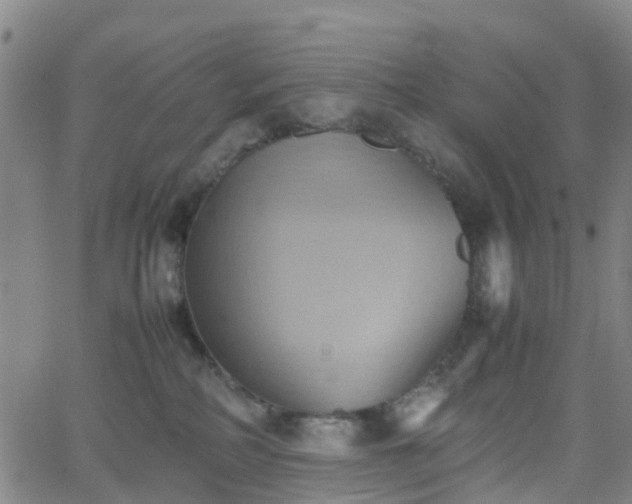 X0000064040234200601301156