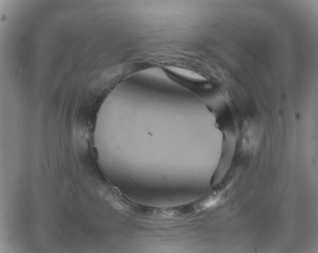 X0000064040235200601301156