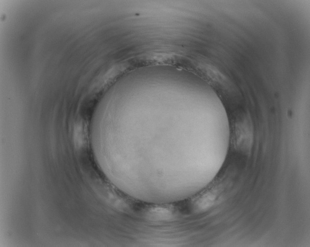 X0000064040236200601301156