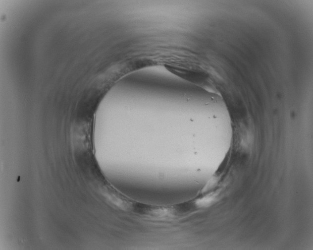 X0000064040237200601301156