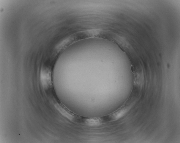 X0000064040238200601301156