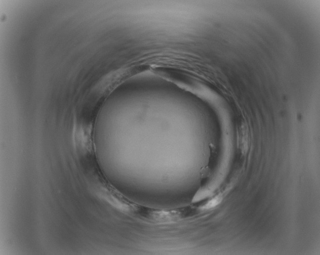 X0000064040239200601301156