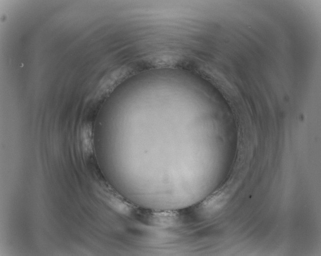 X0000064040240200601301156