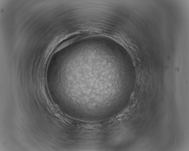 X0000064040241200601301155