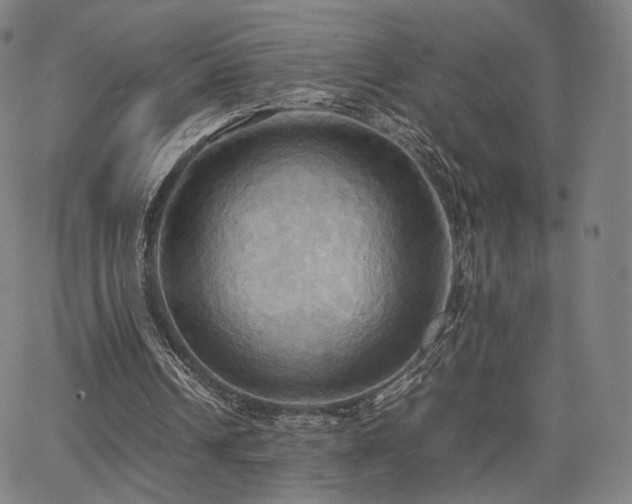 X0000064040242200601301155