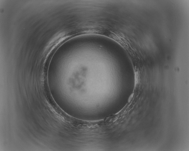 X0000064040243200601301155