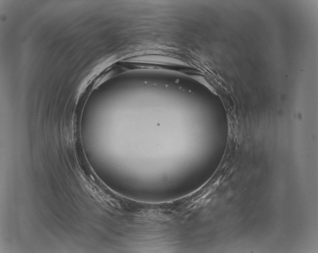 X0000064040244200601301155