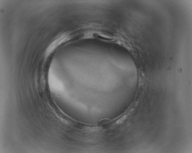 X0000064040245200601301155