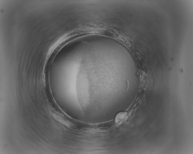 X0000064040246200601301155