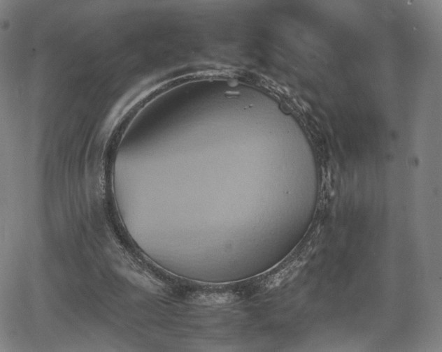 X0000064040247200601301155